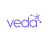 Veda Data Solutions Logo